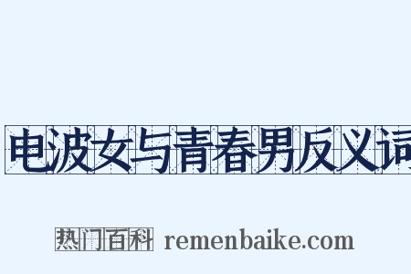 电波女与青春男反义词是什么意思的图片